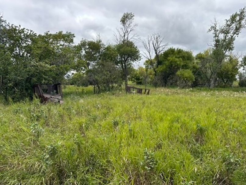 37C7F9D4-29B9-4CCC-B41D-7E25011B8D9D_4_5005_c