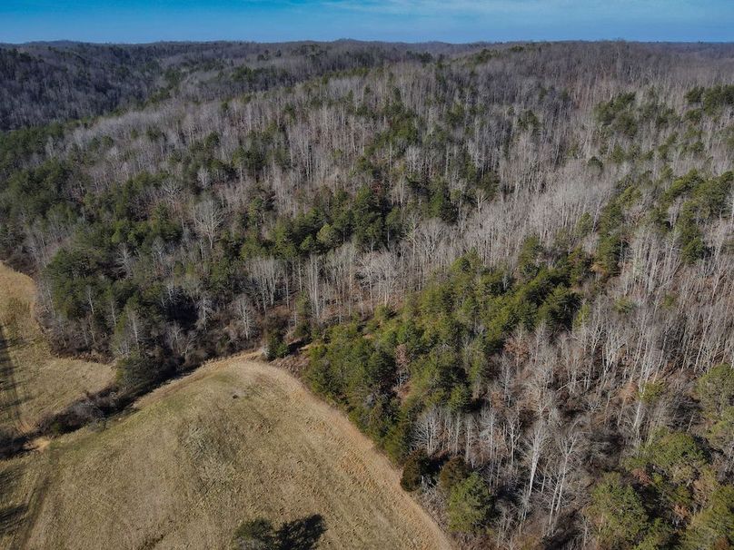 037 North most fields and timber