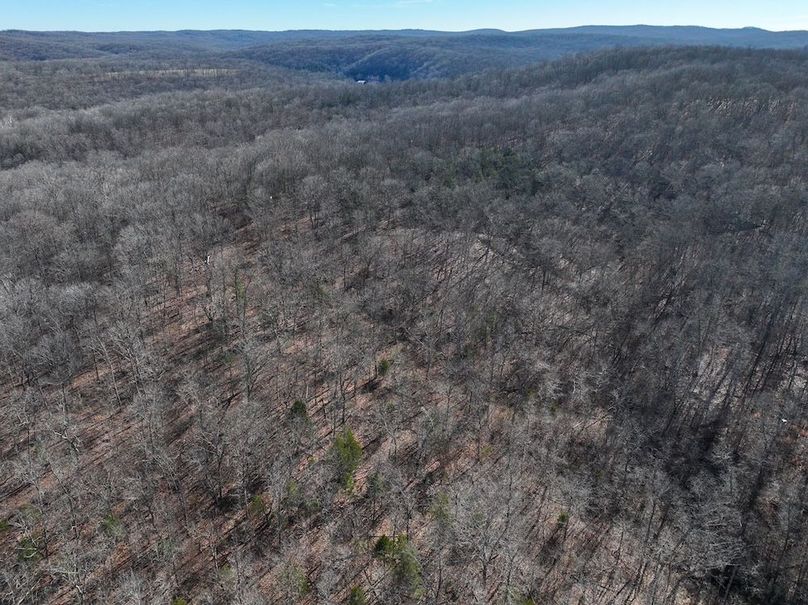 DJI_20251219114107_0896_D