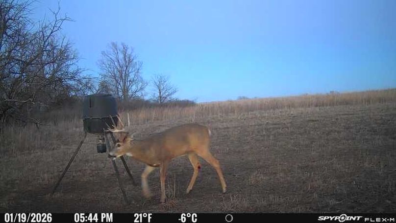 Trail Cam 7