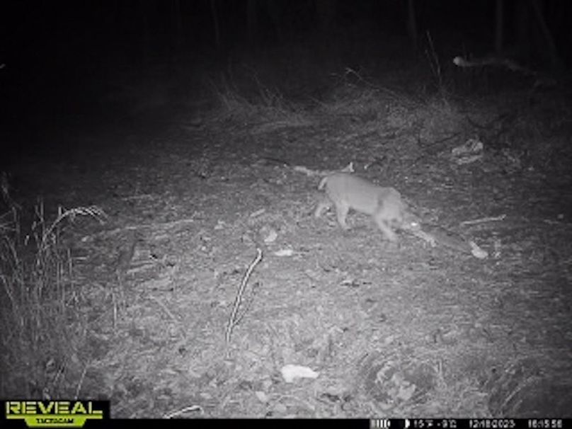 865509050473705-100-4-12182023181615-W1004436