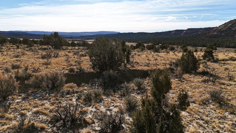 DJI_20241219101731_0057_D