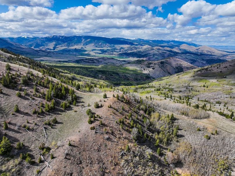 DJI_0226