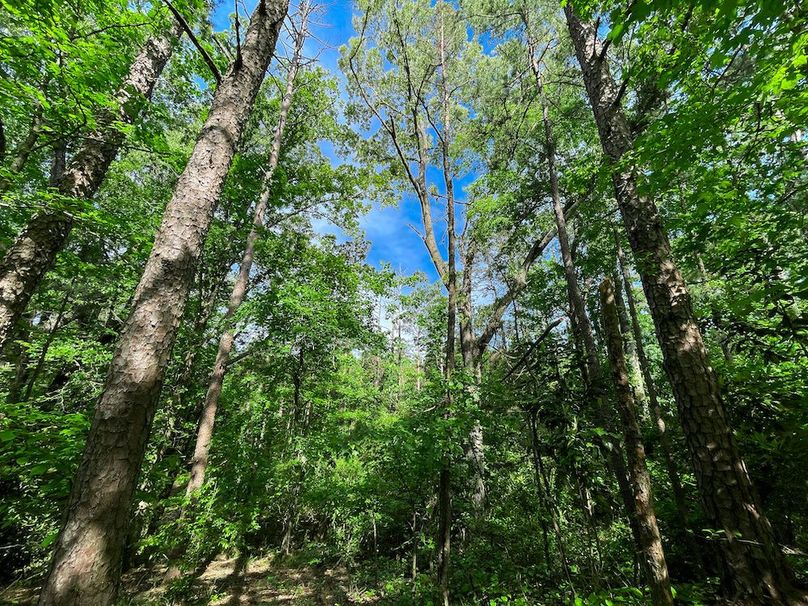 Haralson GA 100 McIntyre-49