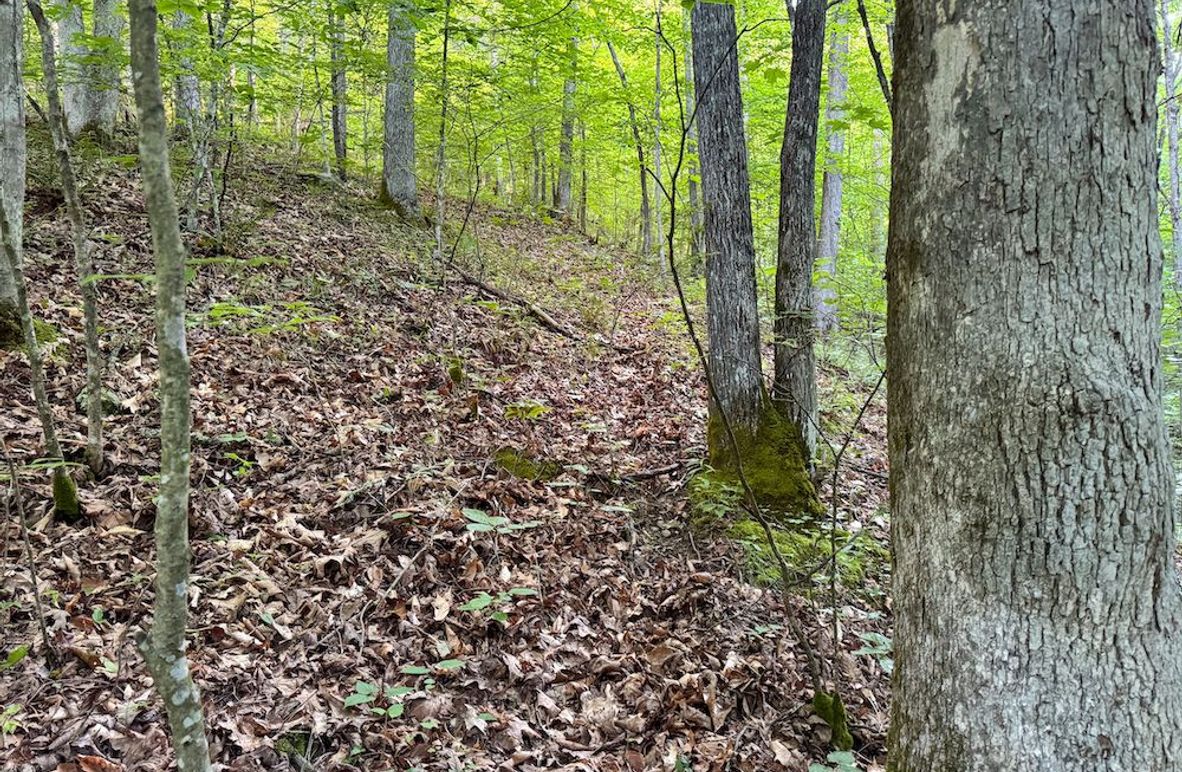 Ritchie, WV 92 AC Thompson-02