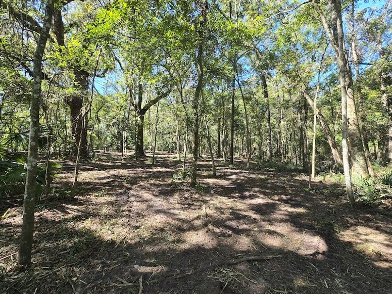 7.8ac, Citrus, Andrew Goering19