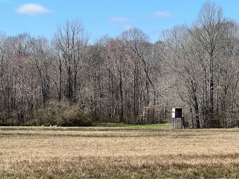 (5a)FoodPlot field edge