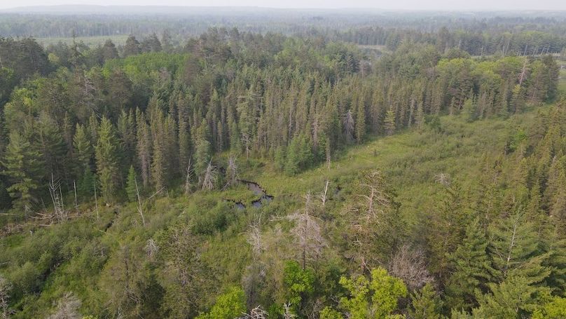 DJI_0928