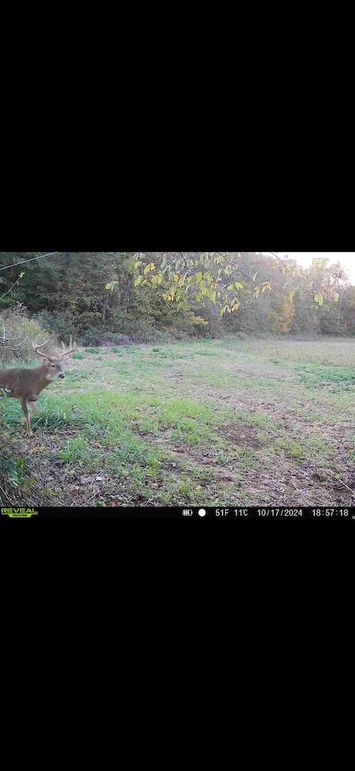 Screenshot 2026-02-09 at 3.34.33 PM