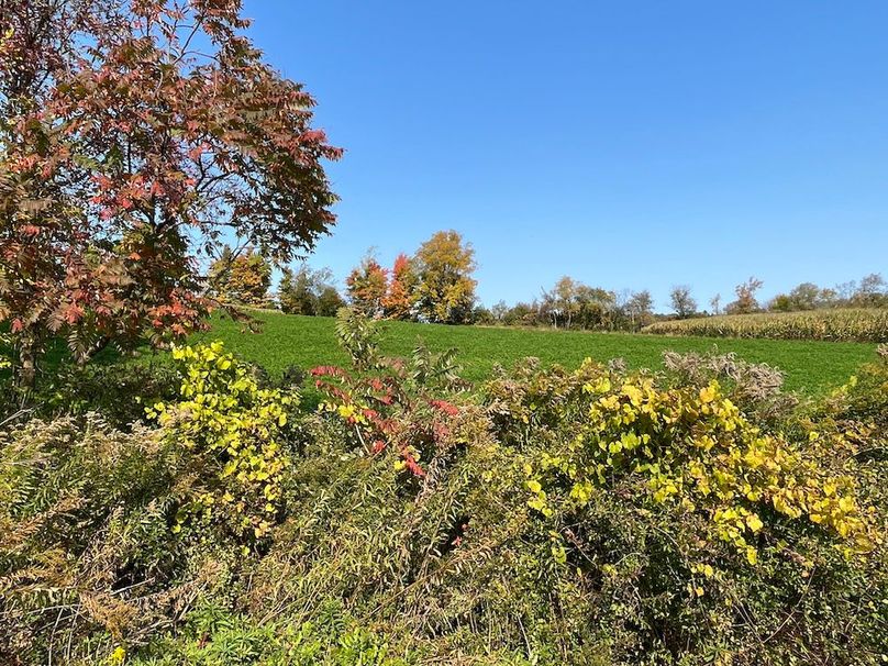 Yates_29_Stape Photo 19