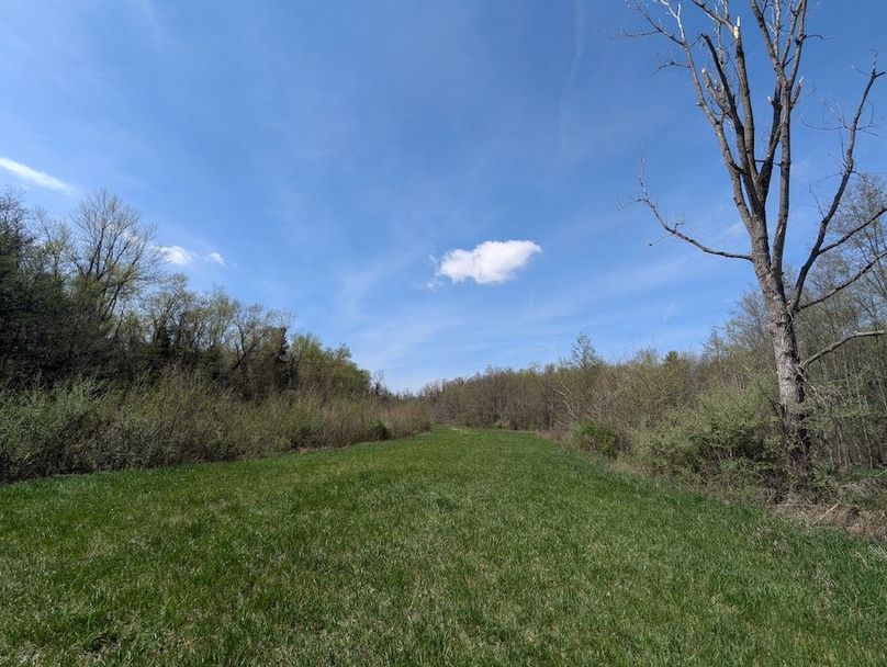 PXL_20250422_165259421