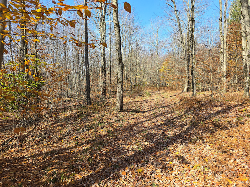 photo_7b0a2dde-79f6-4462-8898-bd37d6d02f59