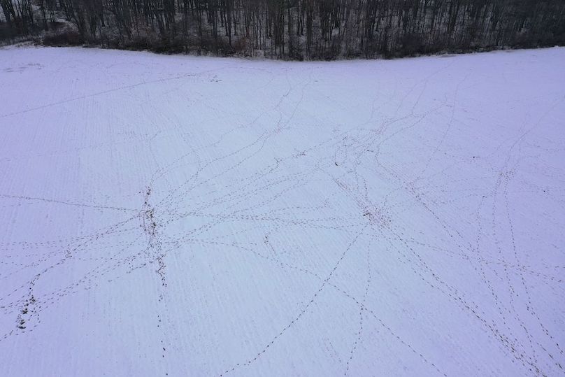 Copy of DJI_0032 (1)