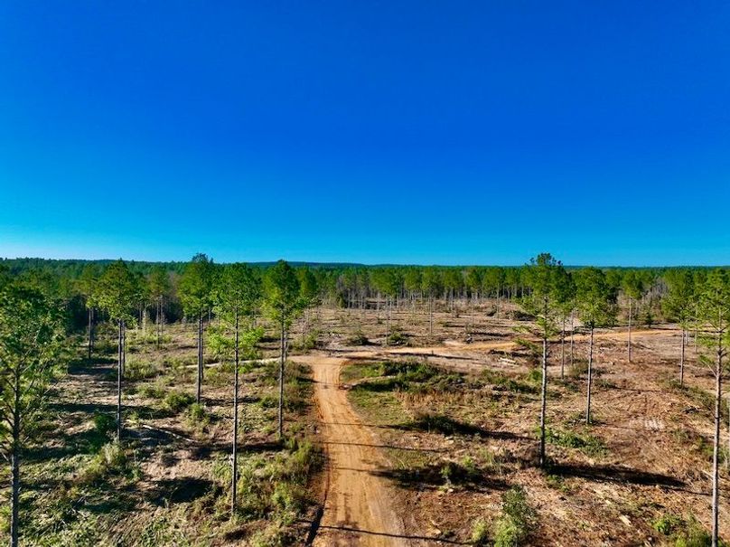 3580FD6C-130D-4D6C-B878-7251CBF79F93_1_201_a