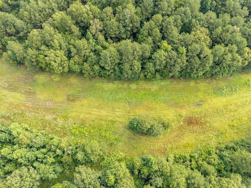 Panola Co. 40ac - Rouse-11