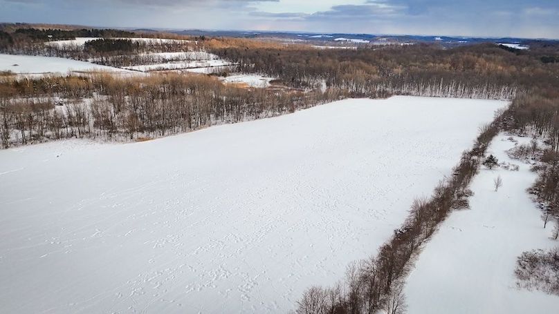 Wayne_39.86_Dates-Photos_20