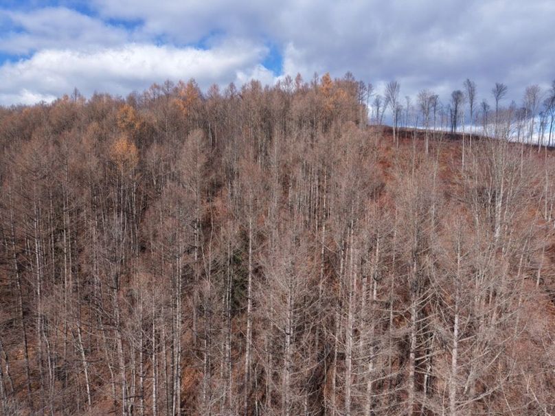 DJI_20251122123807_0090_D