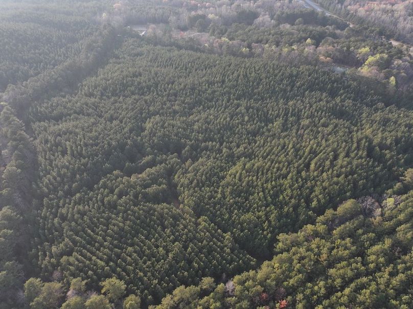 012FE - 83 Acres - Drone-6
