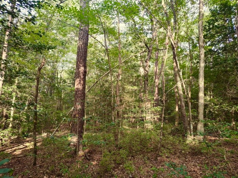 IMG_20250914_172417684