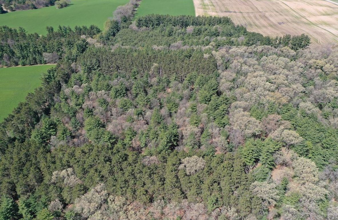 DJI_0665