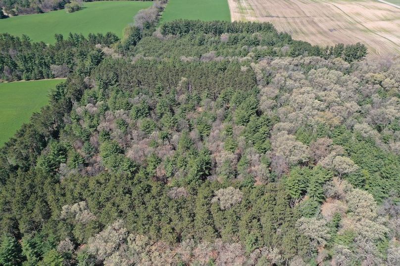 DJI_0665