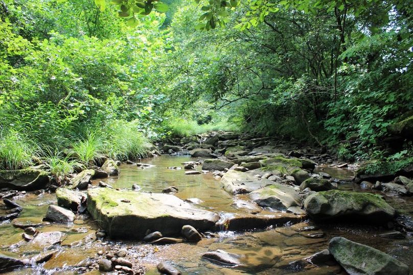 002 beautiful year-round stream along the eastern boundary