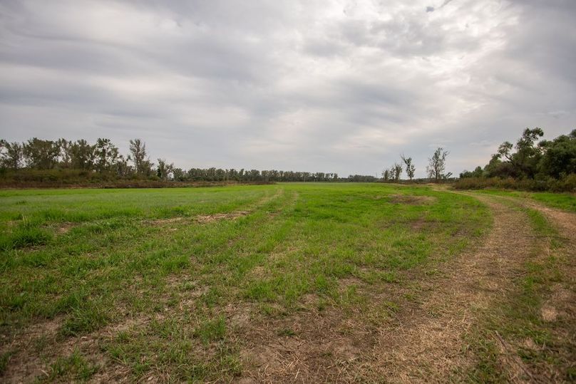  BLACKDOGBEND SOUTH_44