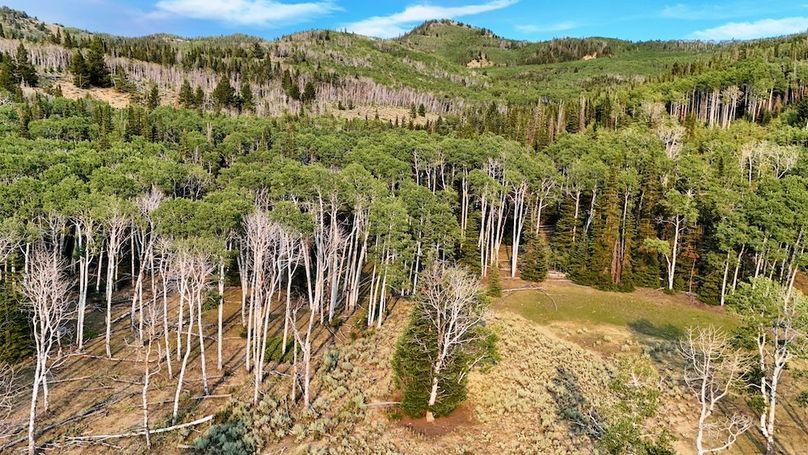 DJI_20250726184146_0239_D