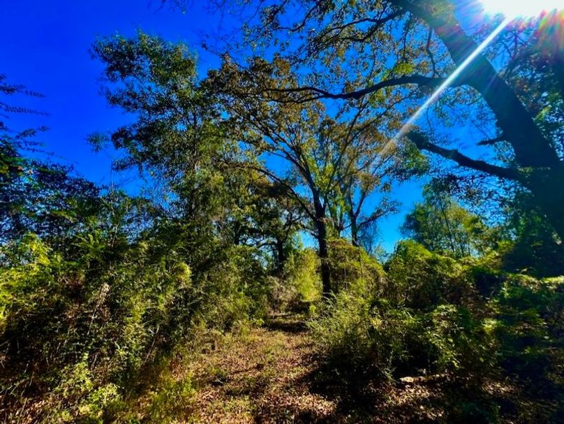 03C59545-A417-4666-A8AB-C1EA4658BC04_1_105_c