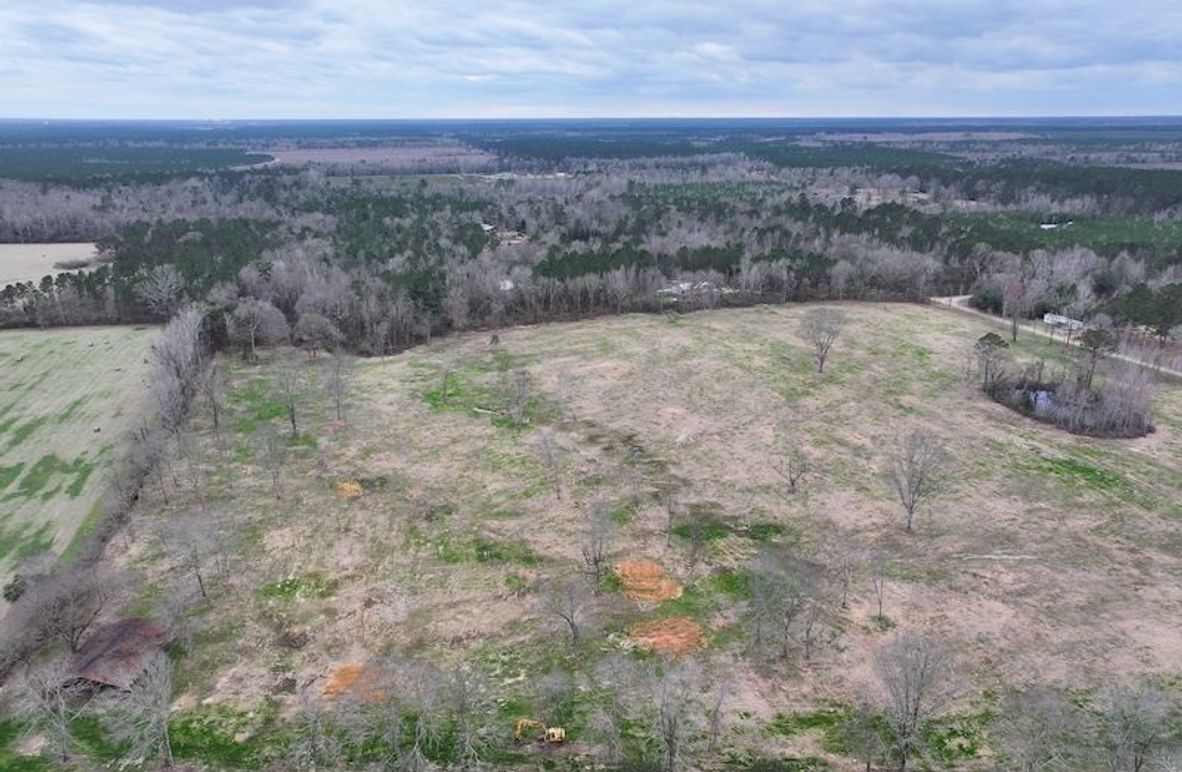 Copy of Copy of dji_fly_20260217_142922_0136_1771436909949_photo