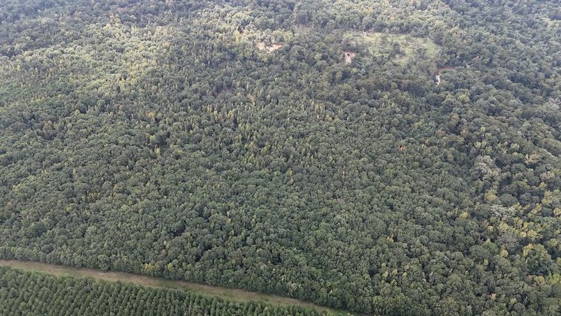 DJI_20240908004526_0077_D