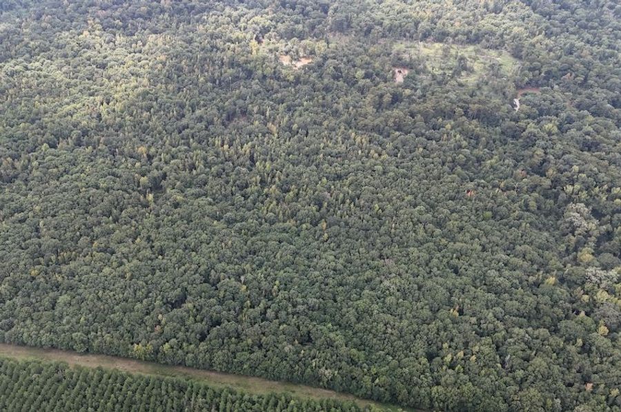 DJI_20240908004526_0077_D