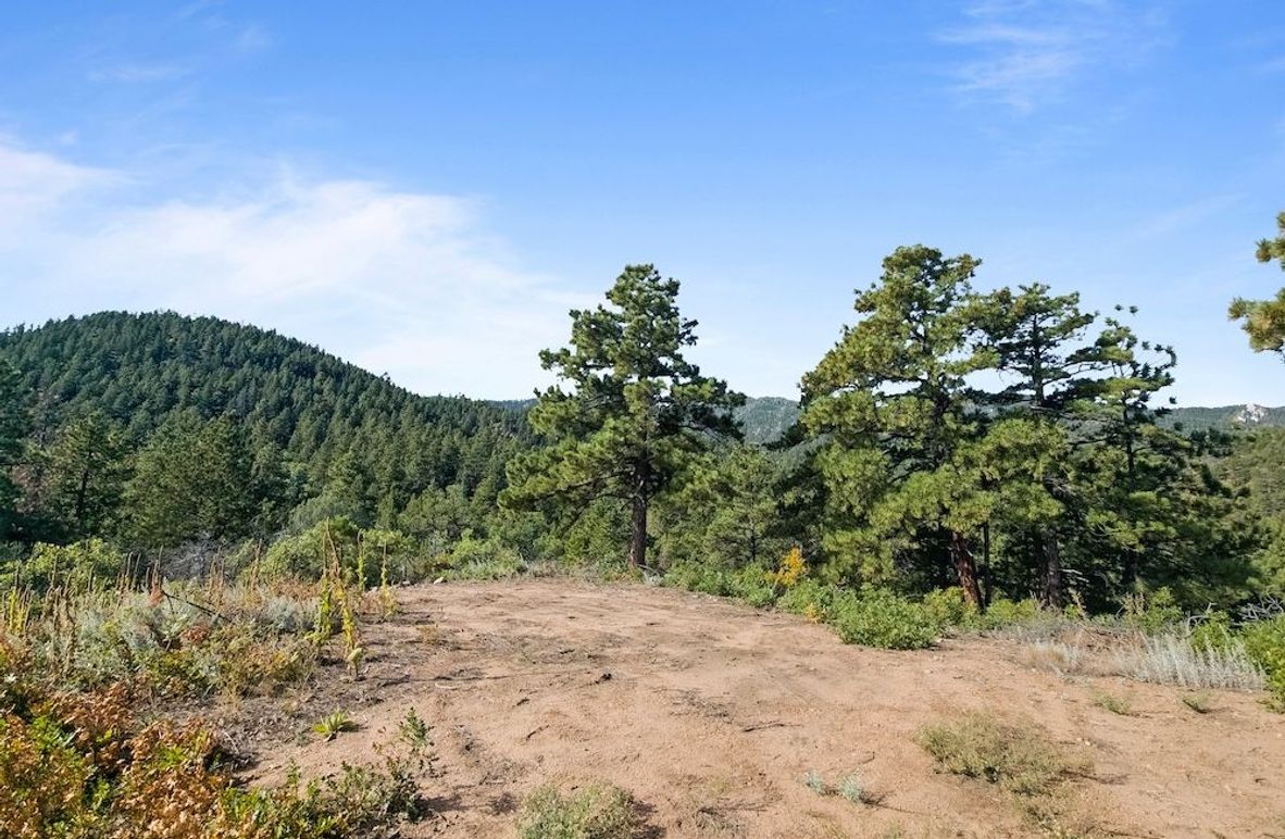 Copy of 20240924_094212