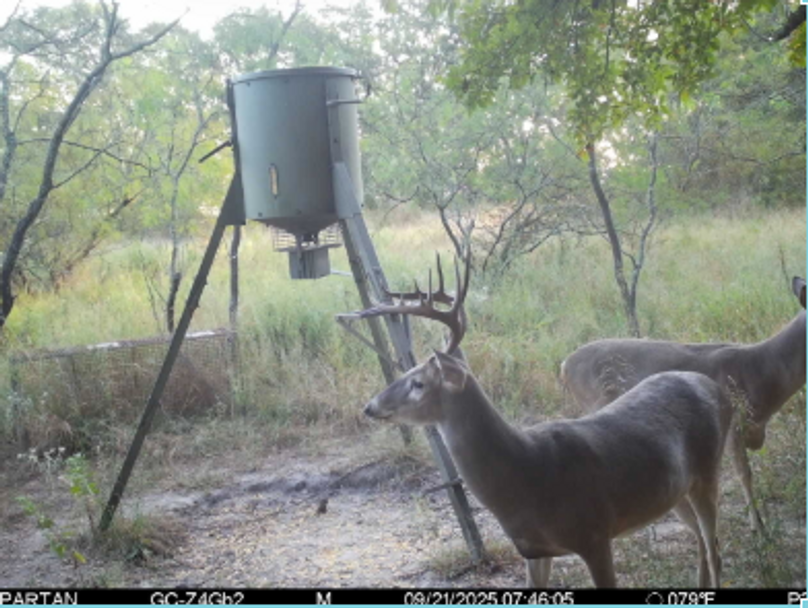 Screenshot 2025-09-29 at 2.33.49 PM