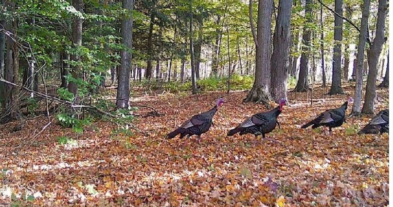 Screen Shot 2025-10-07 at 11.41.13 AM