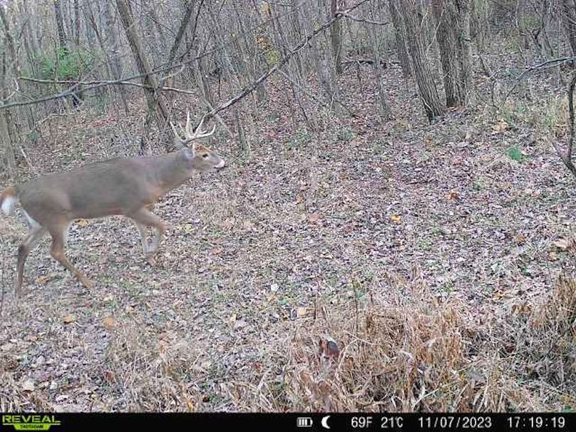 868032067996938-50-3-11072023171918-V-W1001330