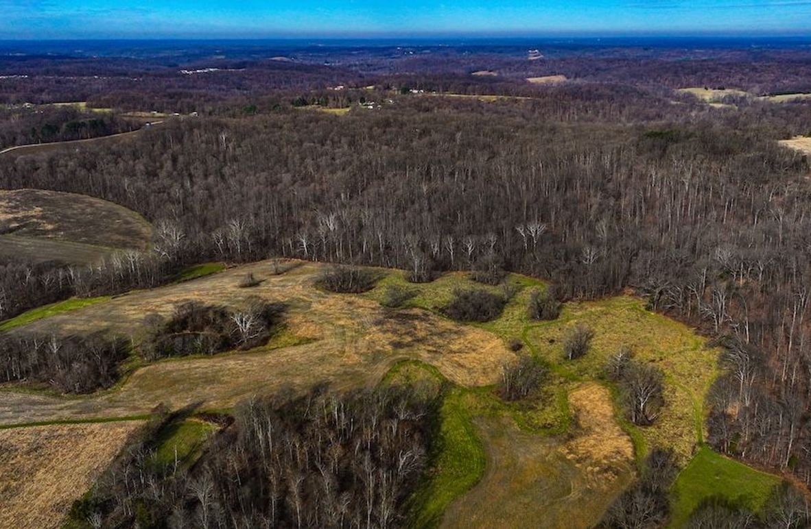 dji_fly_20260321_100852_0019_1774103523454_photo