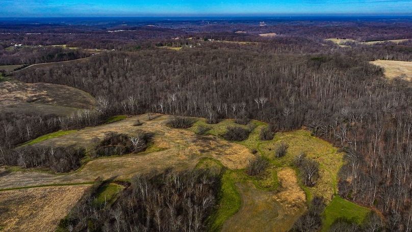 dji_fly_20260321_100852_0019_1774103523454_photo