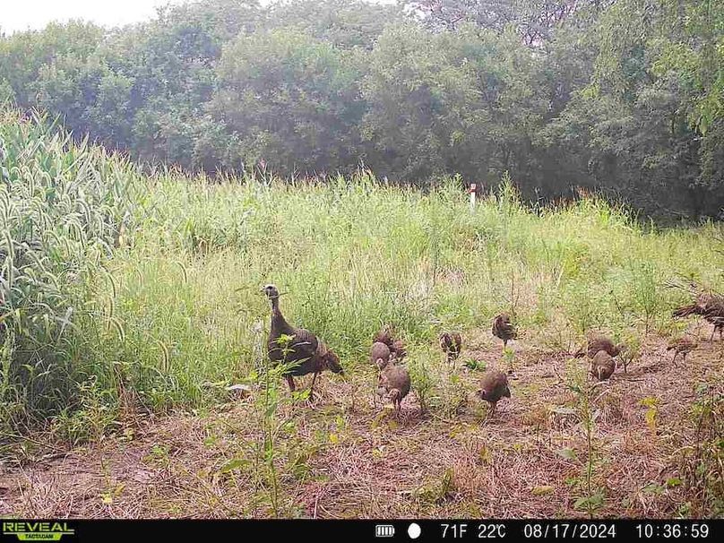 860322064829176-80-4-08172024103658-V-W1001927