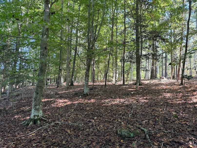 025_Level Walk to Water