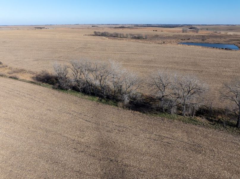 DJI_20251123135212_0046_D