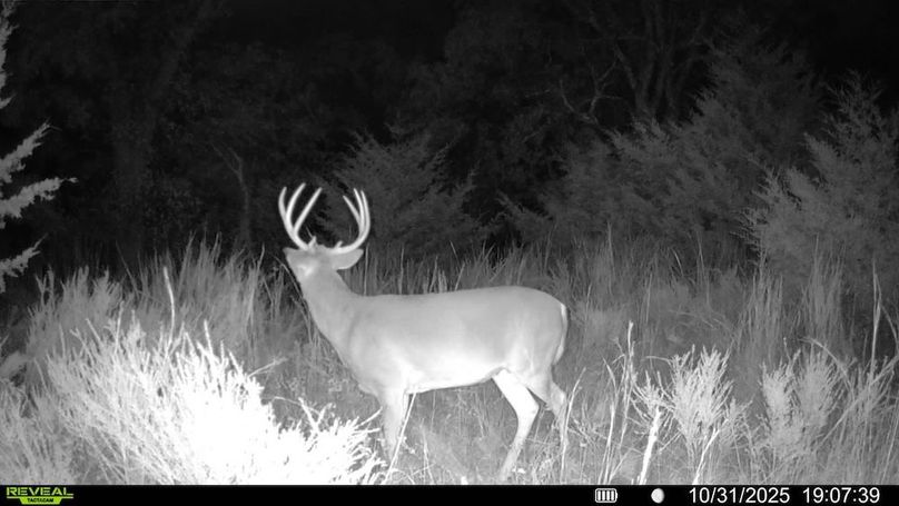 016578004545254-100-4-10312025190739-SYFW13880