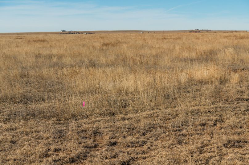 El Paso Co 40 Malinowski - LOT 4 - 010