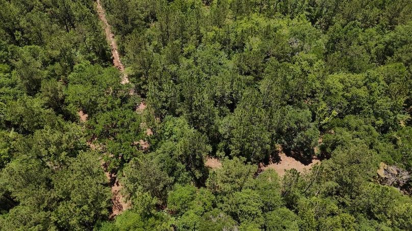 DJI_20240516124259_0017_D