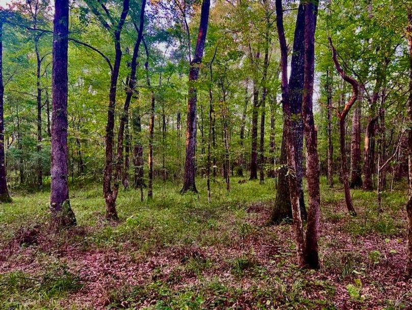 08E1AC65-E998-4C53-8CE8-E4092FA73864_1_105_c