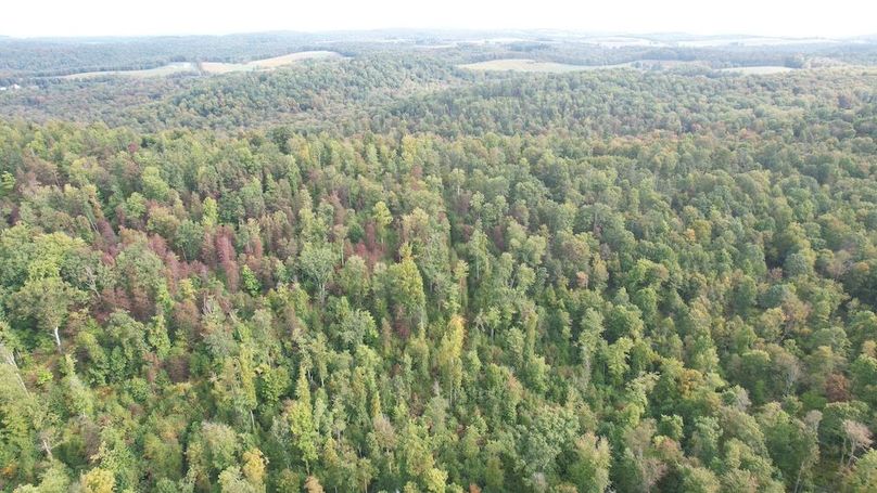 dji_fly_20240919_101030_687_1726755206970_photo