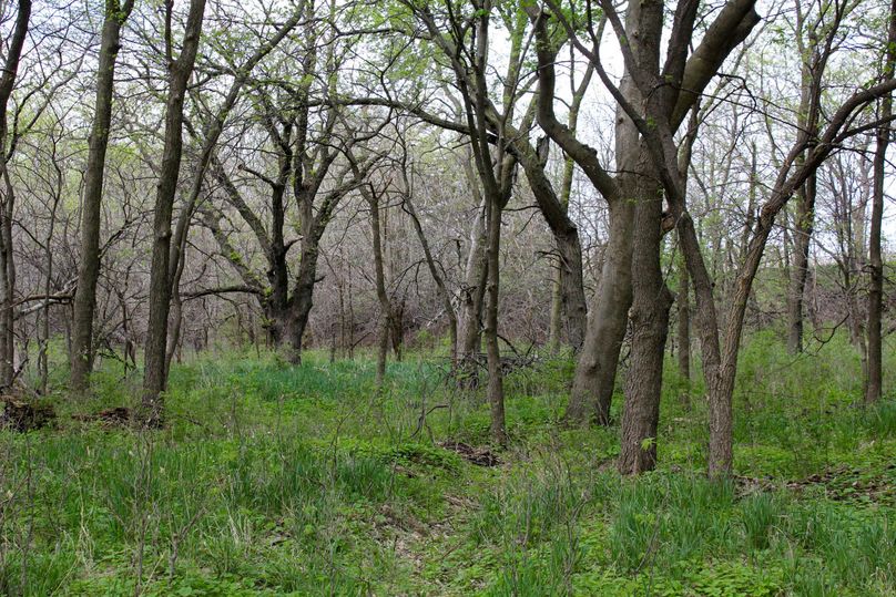 Republic, KS, 155.8_024