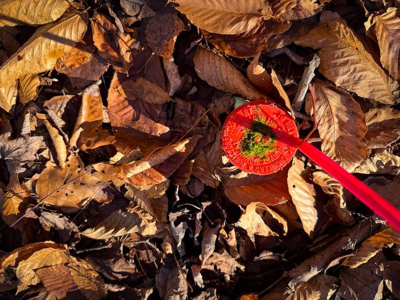 Chemung_31.75_Seymour_North_Photos_17