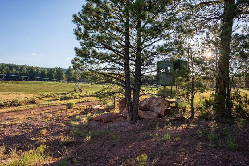 Cibola NM 13,053--99