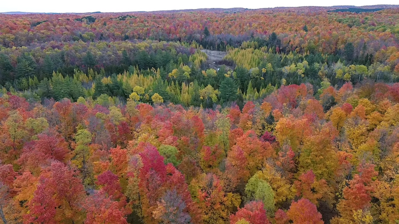 2023-10-23-13-57-20-448